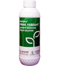 Prime Verdant - Growth Booster 1000 ml